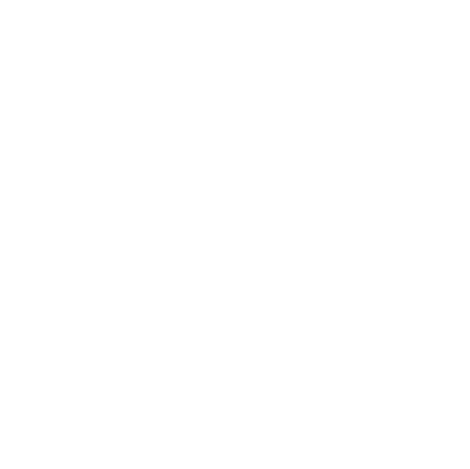 The Creative Asylum